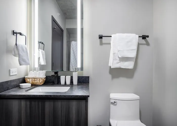 W Loop 1br W Gym Pool Nr Fulton Mkt Chi-289 Apartment *